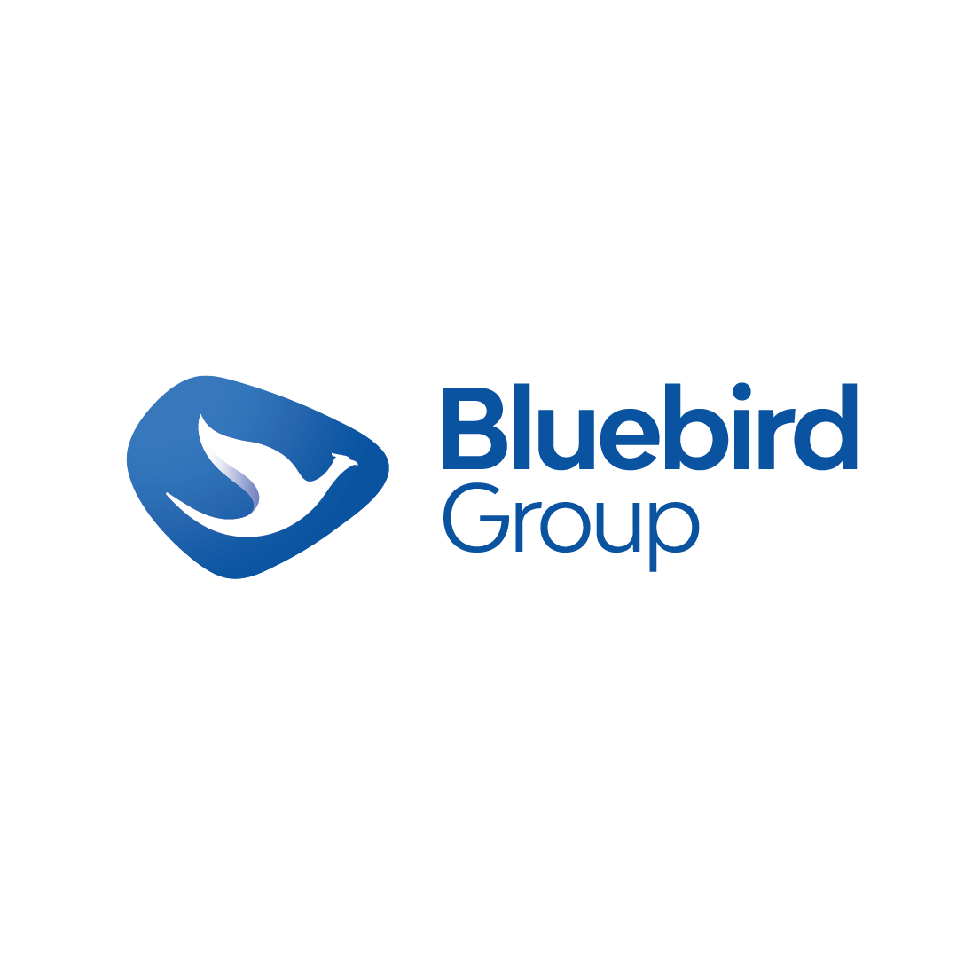 Logo Bluebird Group